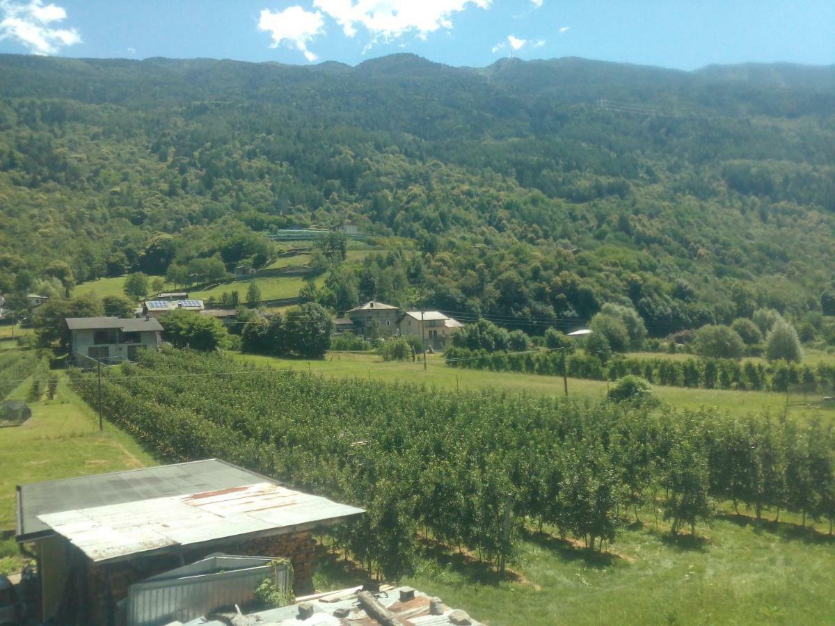 Free Hugs Hotel Mazzo di Valtellina Exterior photo